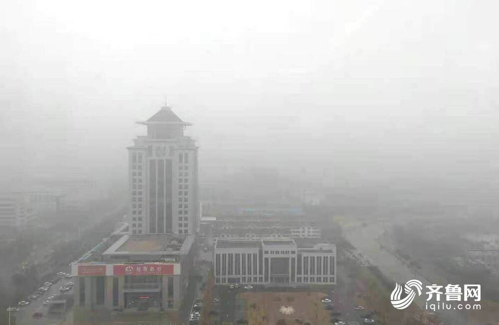 雾“锁”泉城！山东发布大雾黄色预警信号 8地出现浓雾天气