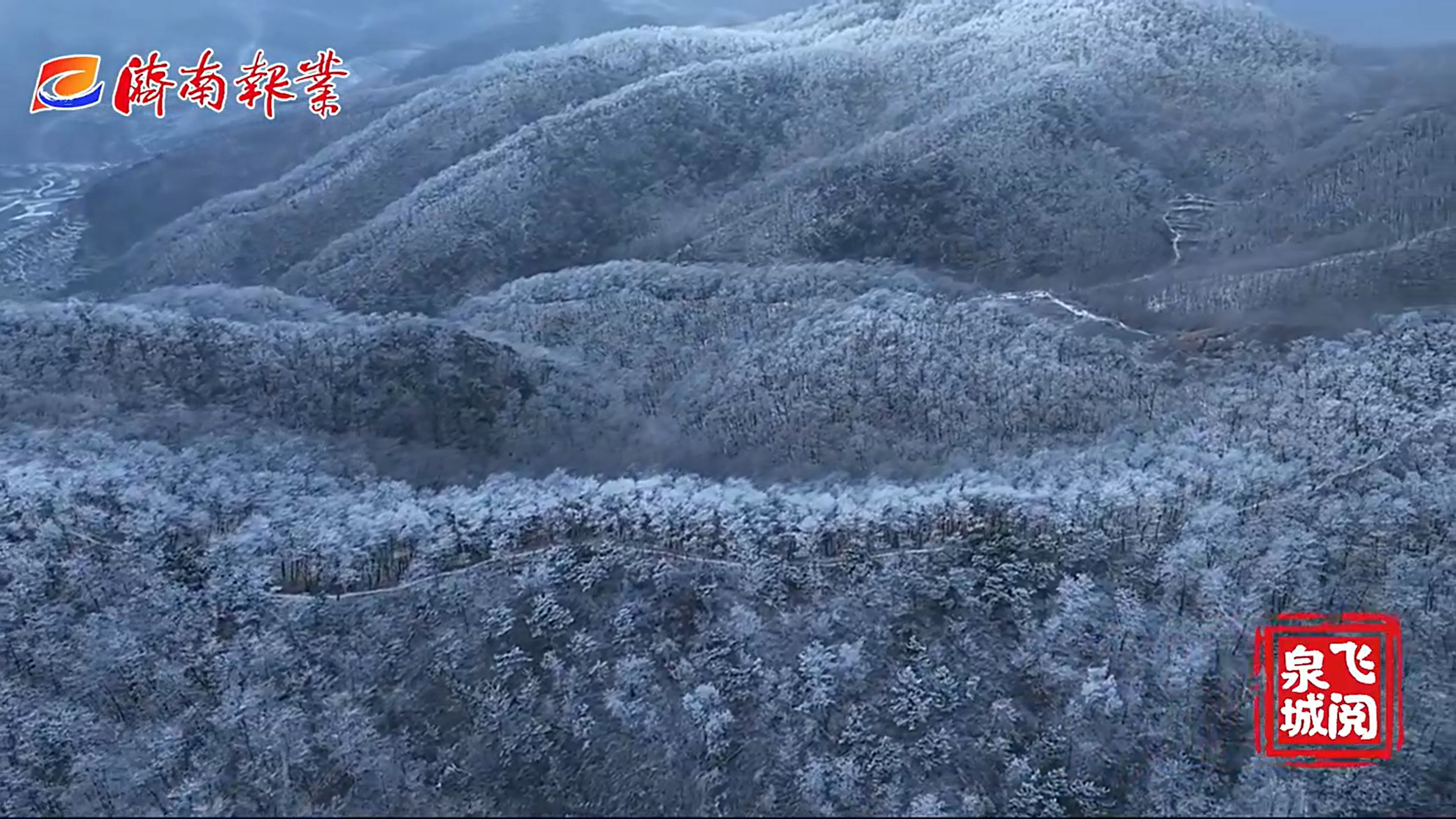 【飞“阅”泉城】济南九如山现绝美雾凇奇观 玉树琼枝宛若仙境