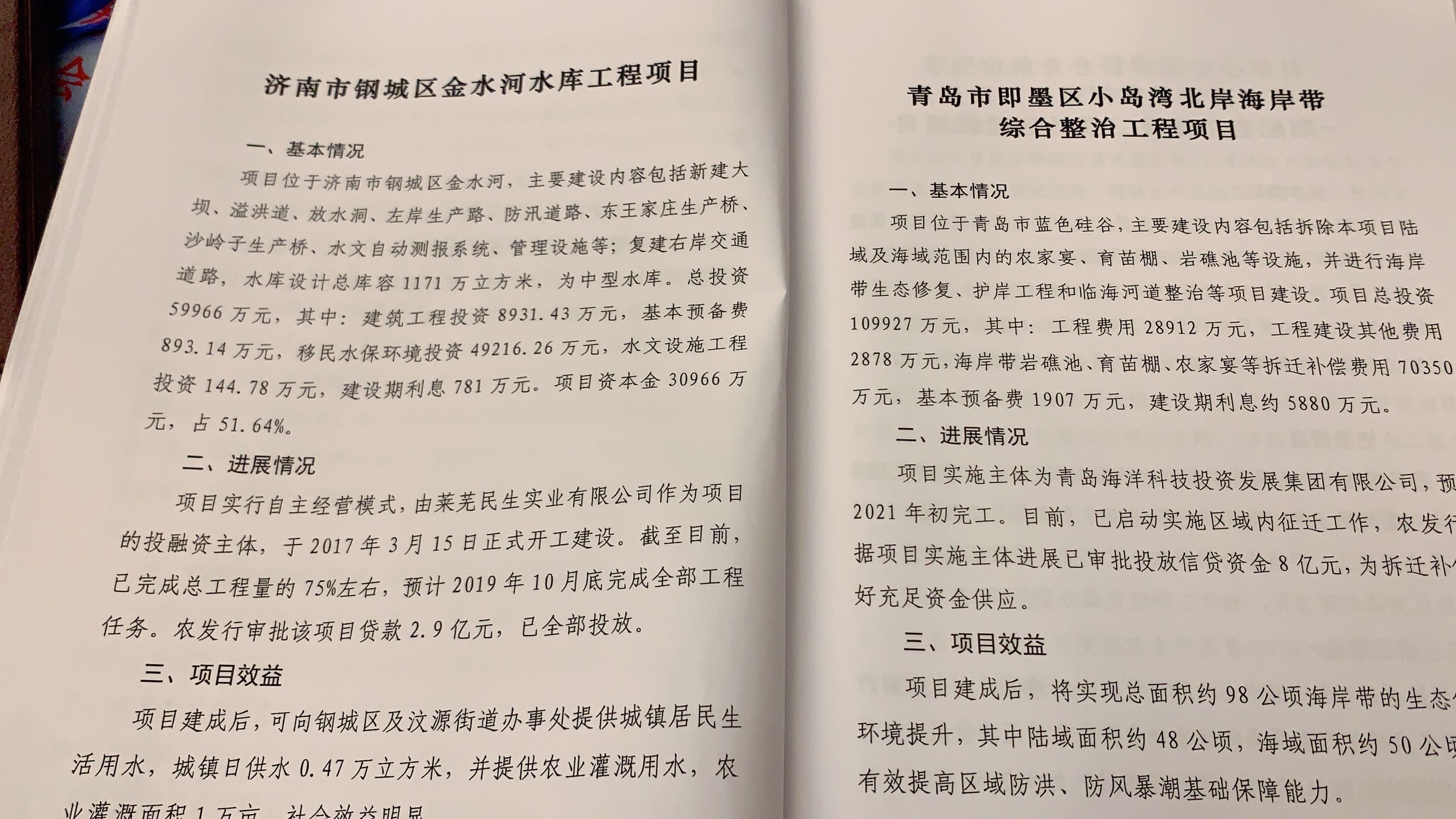 山东62个乡村振兴项目已完成贷款审批金额262亿元