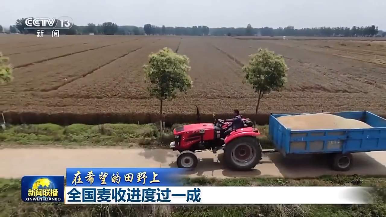 4300多万亩!全国麦收进度超10%