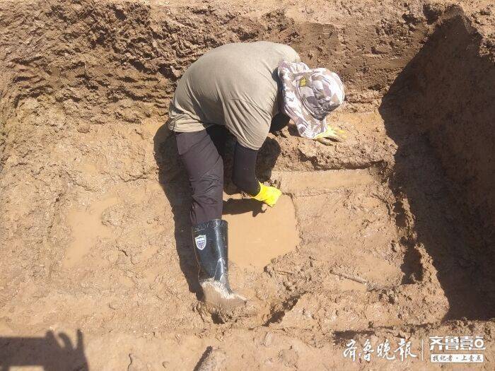 济南市邹平新西村、章丘合庄两座墓地野外发掘工作结束