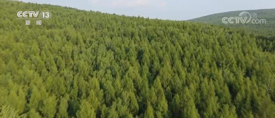 退耕还草现金补助期限延长3年 每亩补助300元