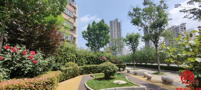 建成8处游园，打造6.53公里绿道……槐荫晒出“绿色”幸福账单