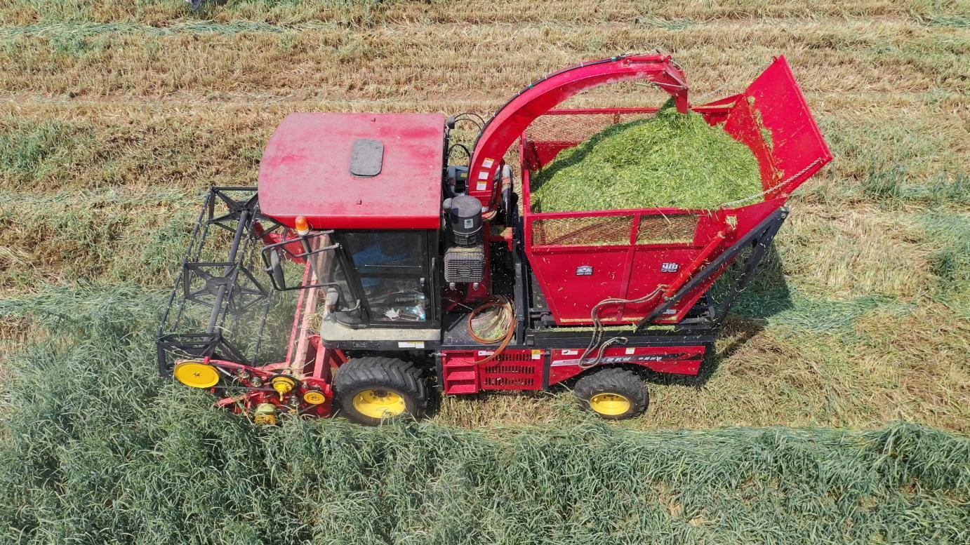 山东农机科研新答卷：成套技术装备助推“家庭牛场”机械化水平