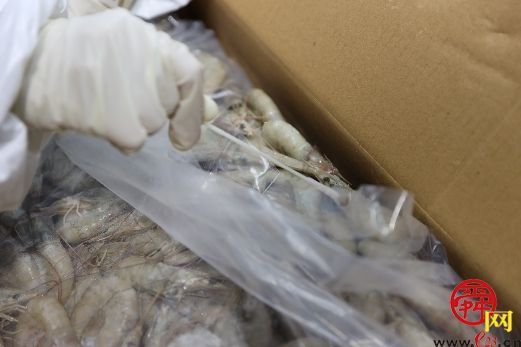 【网络中国节·春节】进口冷链食品监管“双仓”监护下，一只南美白虾的“暖心之旅”