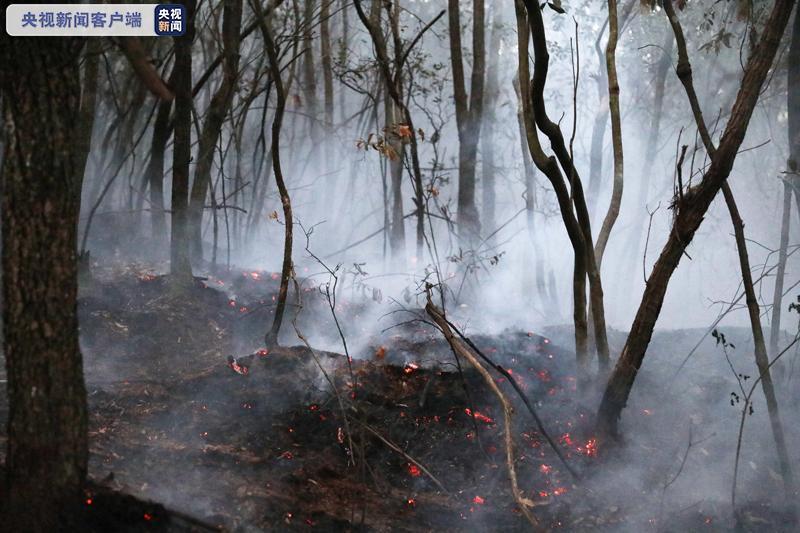 云南禄劝发生森林火灾 扑救正在进行中