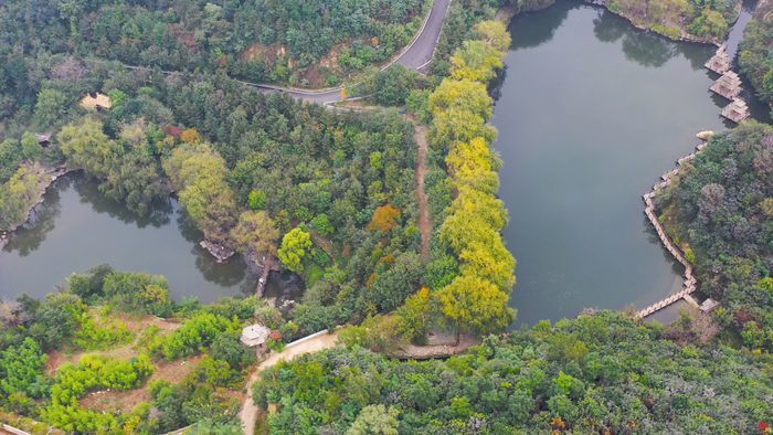 【飞“阅”泉城】山林尽染美如画 九如山带您邂逅浪漫之旅