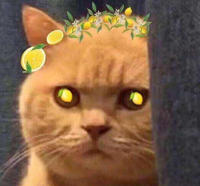 天猫双11狂欢夜 99年女大学生成新晋双11锦鲤！网友：酸了