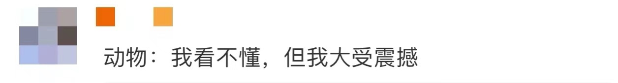 动物专家:动物园不该搞伪科学,北京野生动物园曝光“跨物种”丢人事件