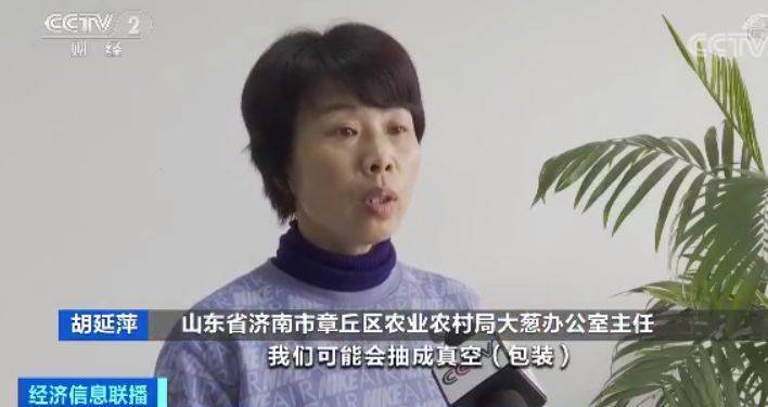 咋回事?山东大葱价格腰斩 