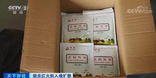 红火蚁入侵12个省份！红火蚁泛滥有农作物产量或损失40%