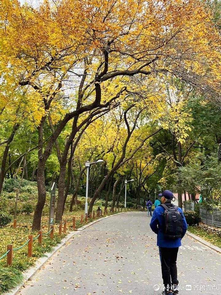 深秋时节泉城公园，色彩斑斓