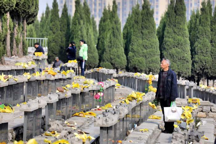 祭祀献花寄哀思 今日清明更文明