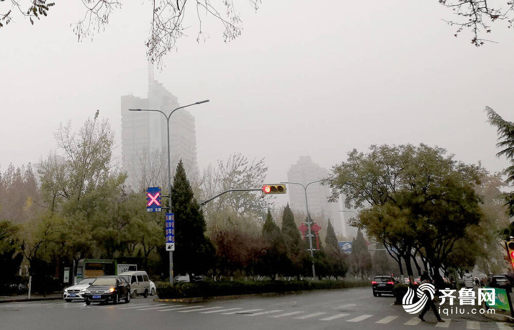雾“锁”泉城！山东发布大雾黄色预警信号 8地出现浓雾天气