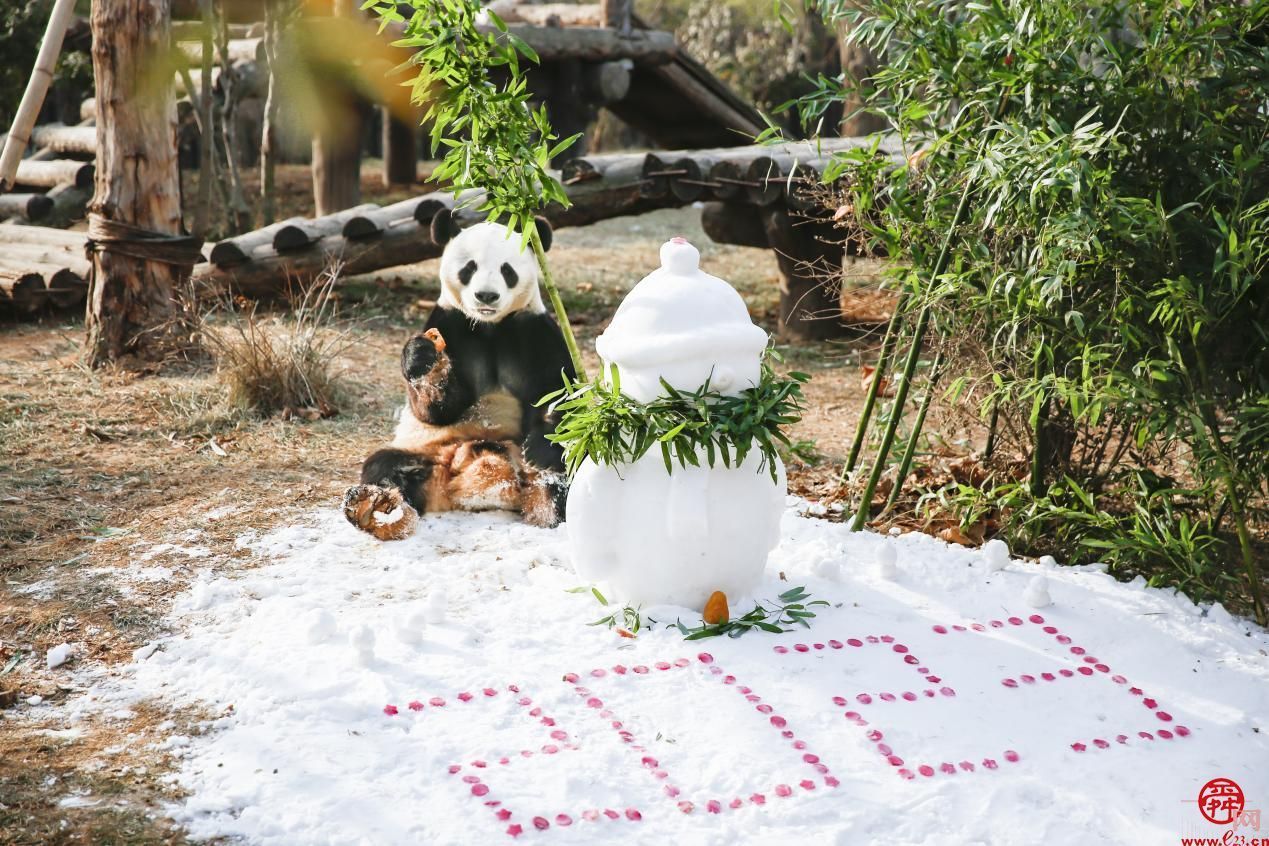 惠享济南文旅 畅游泉城新春济南文旅集团新年系列活动邀请市民游客欢天喜地过大年