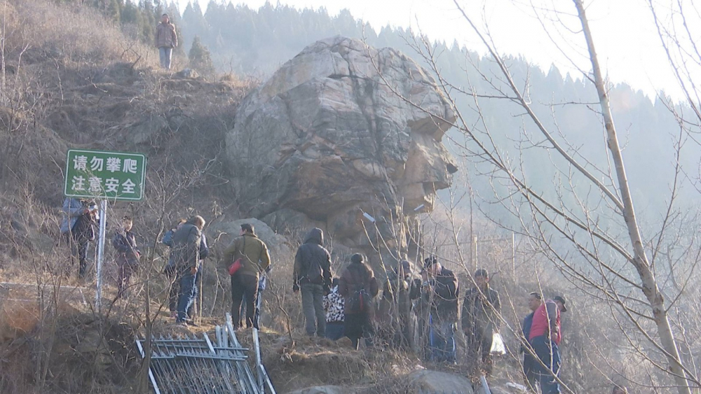 济南网红“狮身人面像”每天引千名游客打卡  系统化管理有待探讨