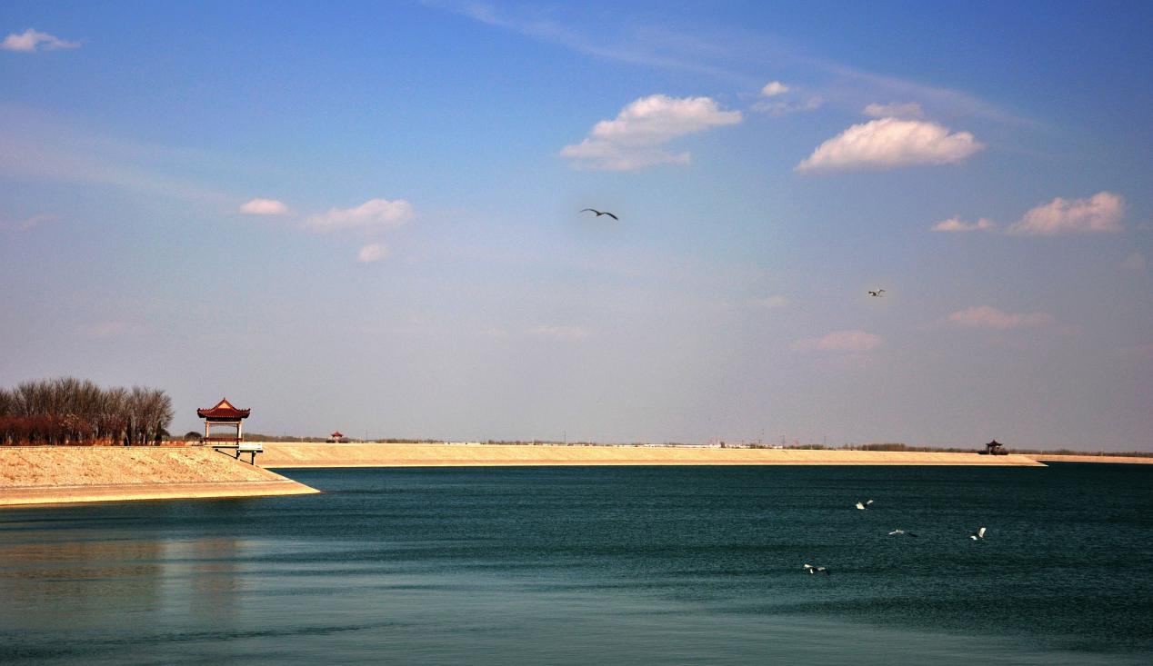 德州市陵城区丁庄镇农产品暨“丁庄两湖”品牌 线上推介会成功召开