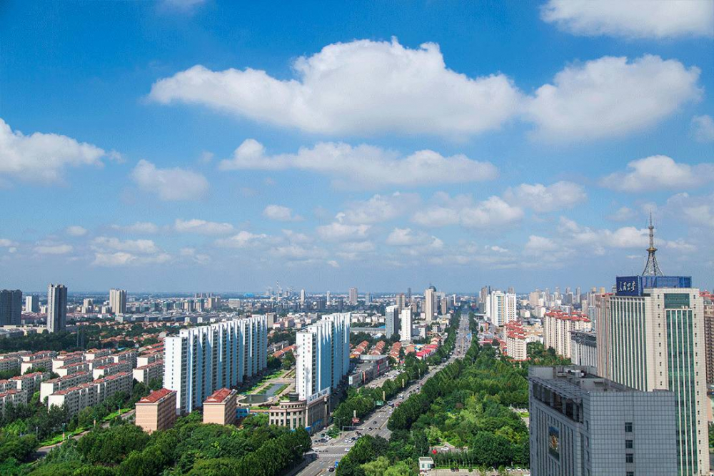 日供武汉2000吨蔬菜，“宇宙寿光”是怎样炼成的？