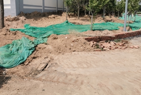 【啄木鸟在行动】淄博路、日照路交叉口西南角绿化带裸土造成扬尘