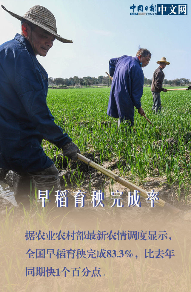 莫慌！防疫春耕两手抓 我们的“米袋子”货足价稳