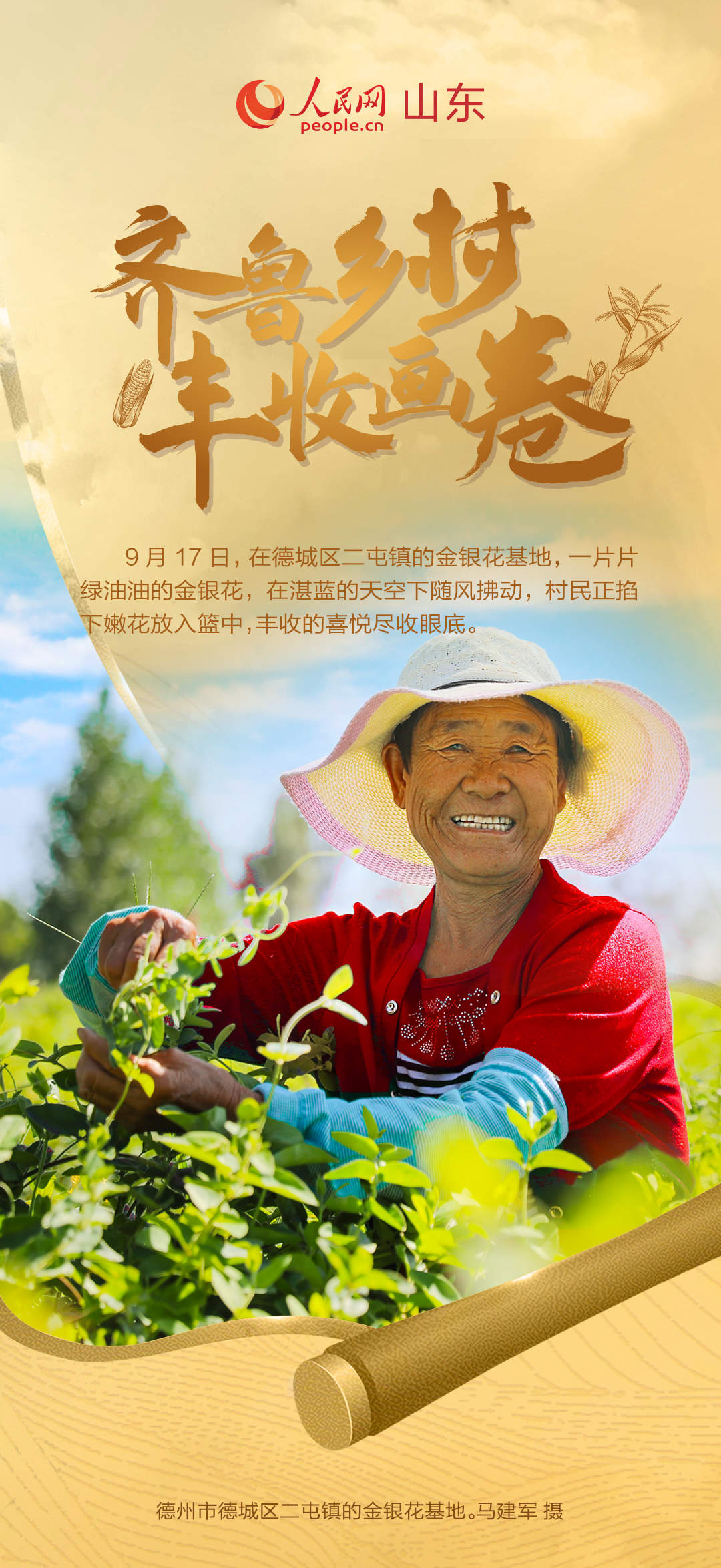 乡村振兴美如画 齐鲁大地好“丰”景