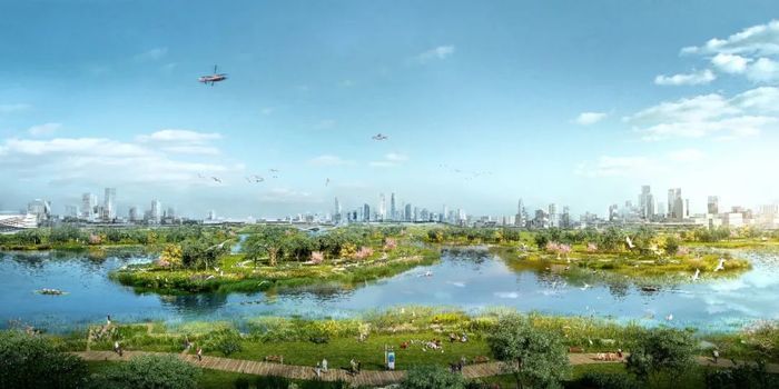 今年，起步区将加快大桥、崔寨建成安置区回迁