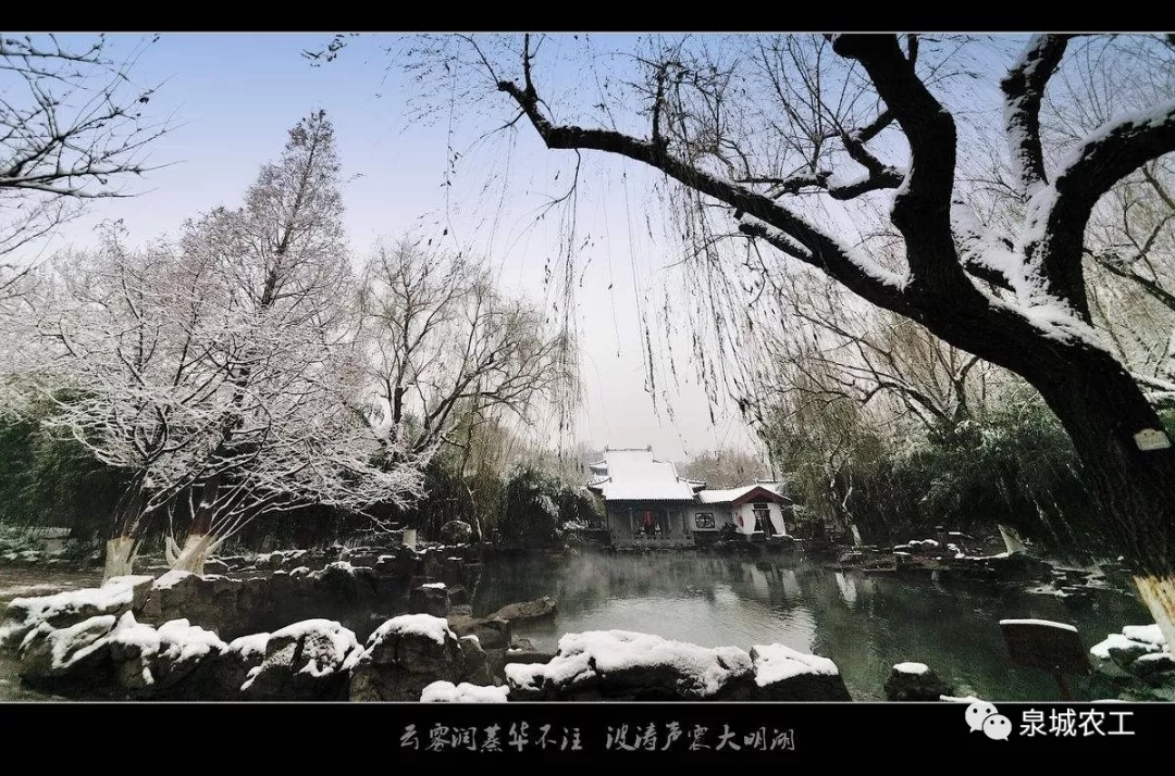 济水之南——正以泉声泉润迎接出席第六届中医科学大会的四海嘉宾