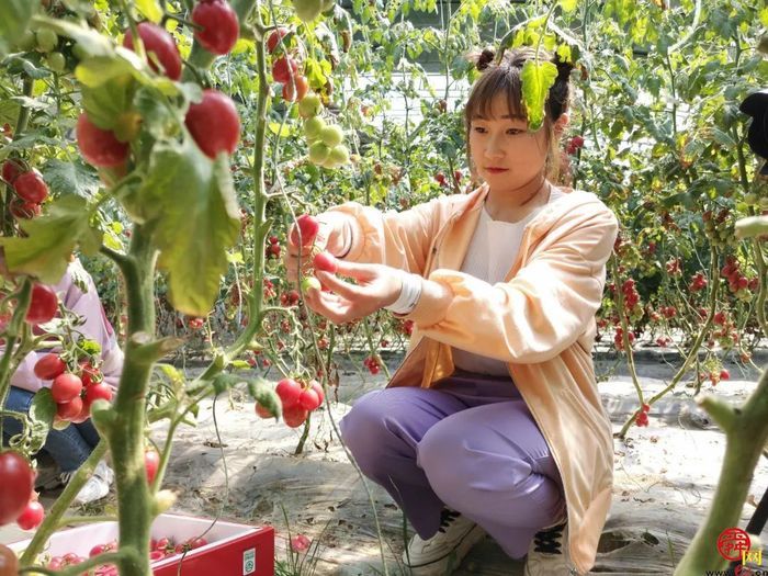 露营＋烧烤＋采摘随意搭配，“玩荒”被泉水人家治好了