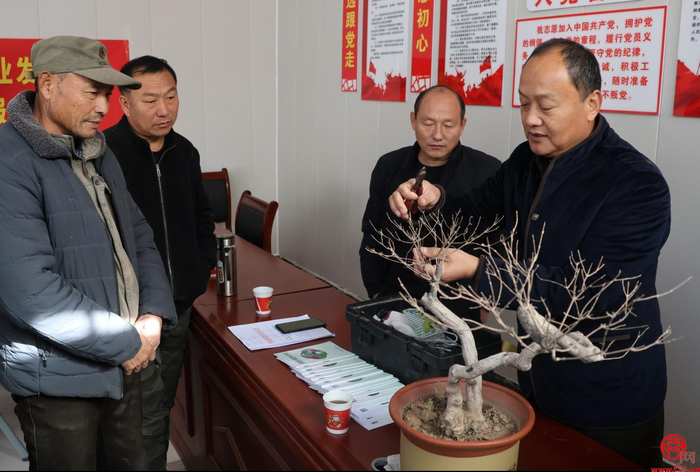 花香里的园艺课堂 “济南园·林惠民行”花香邻里冬季花卉养护活动成功举办
