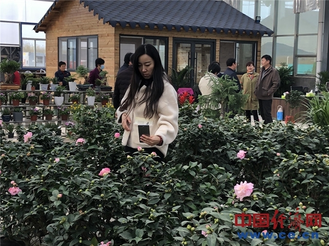 【决胜2020】脱贫攻坚看山东：打造脱贫致富的示范村和乡村振兴的齐鲁样板