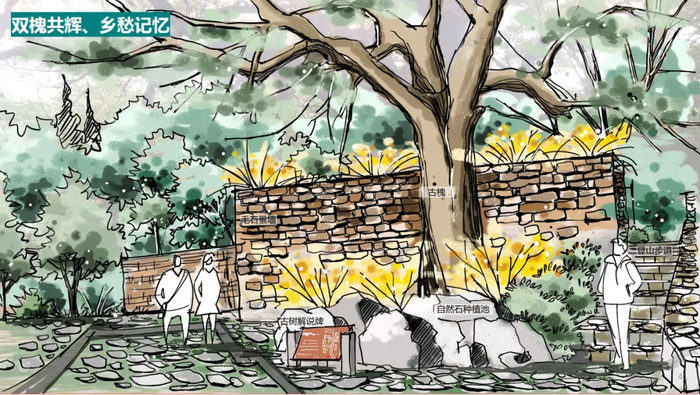 丰富城市绿色开放空间 提升城市景观环境水平！泉城今年将打造13个生态景观建设项目