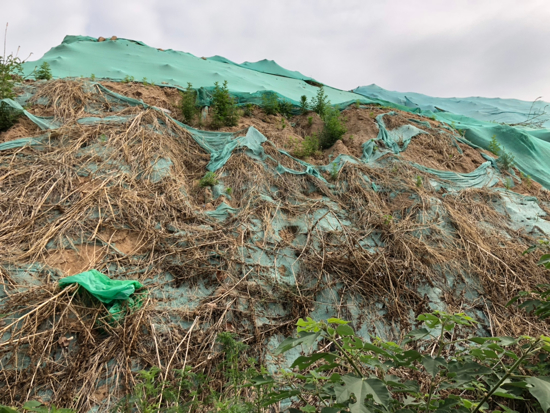 【啄木鸟在行动】长清区大学路与海棠路东北角渣土裸露