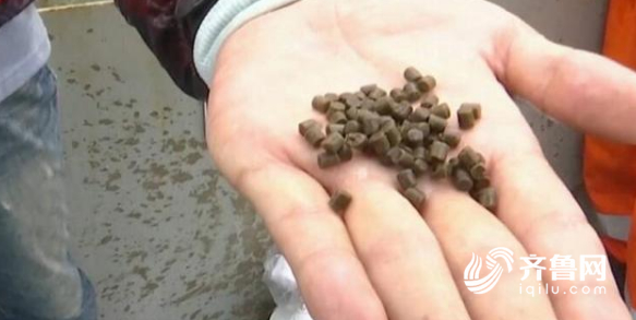 这就是山东｜抗得住台风，防得了鲨鱼！揭秘世界最大深海渔场“深蓝1号”