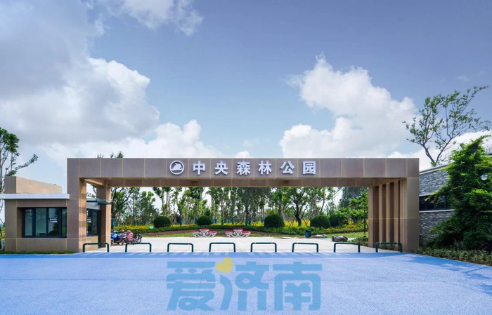 省级名单公示！济钢片区中央森林公园入选城市更新示范项目