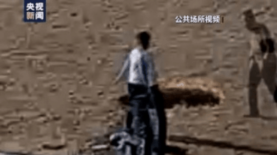 又到清明，因祭扫引发的森林火灾竟有这么多起？后果很严重