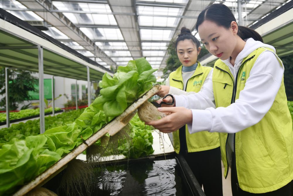 “齐”心“鲁”力