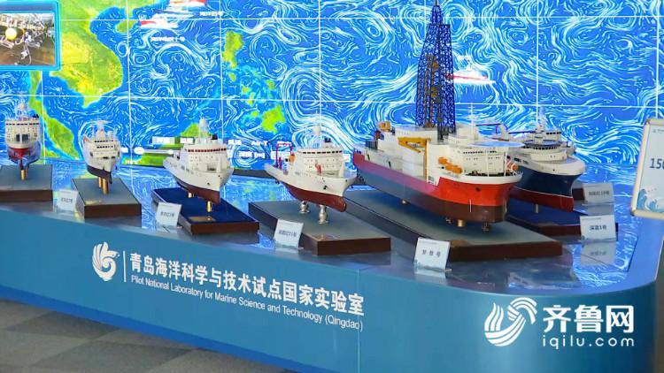 习近平总书记视察山东一周年综述：快马加鞭未下鞍 蹄疾步稳踏新程 