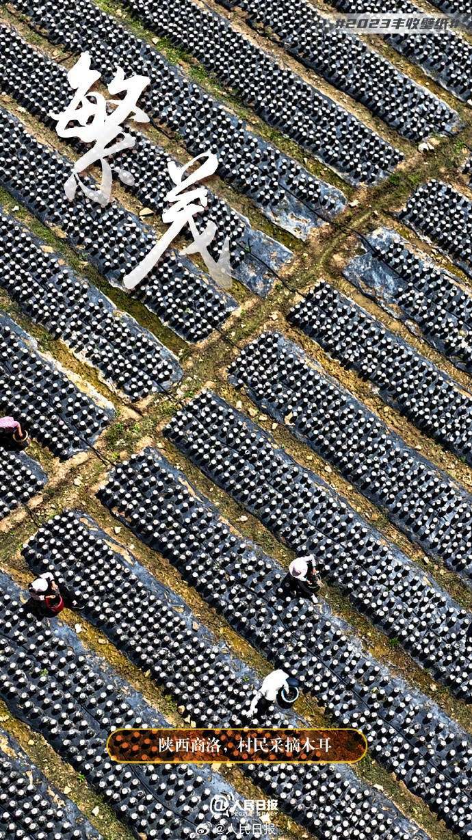 俯瞰丰收大地，美成了壁纸