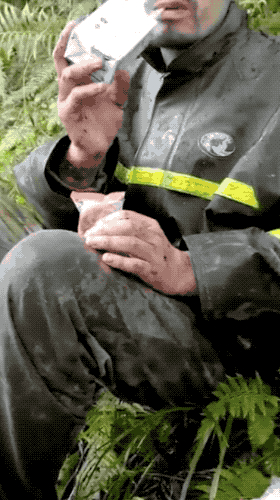 甘宇详细讲述自救经历，获救后与罗永首次通话