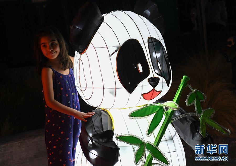 新西兰：彩灯点亮惠灵顿