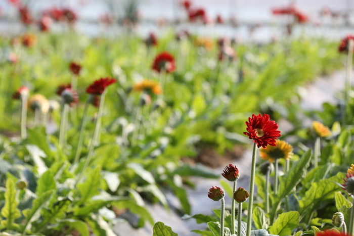 【春耕进行时】回看舜网记者带您走过的这些地方