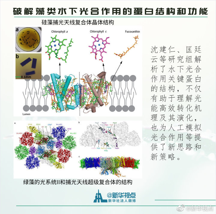 2019年度中国科学十大进展揭晓