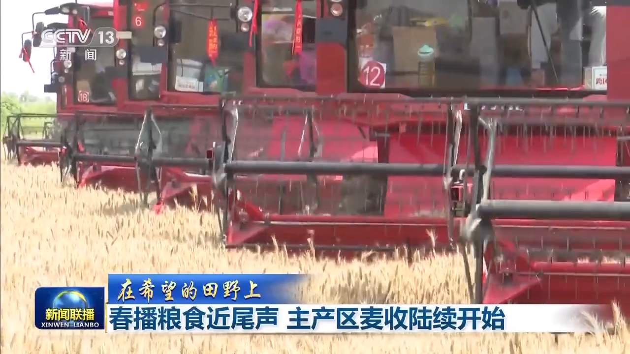8.1亿亩！全国春播粮食进度约90% 5月底冬小麦将大面积收获