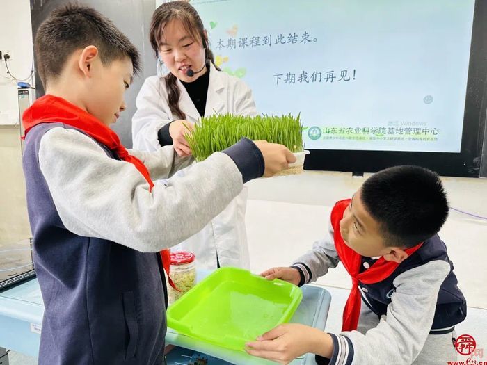 邂逅“小麦芽”，甜蜜“麦芽糖”