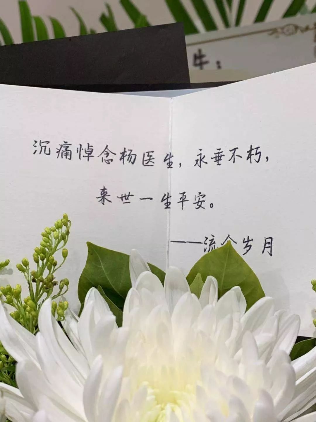 女医生被扎身亡细节还原：患者家属没有任何愧疚