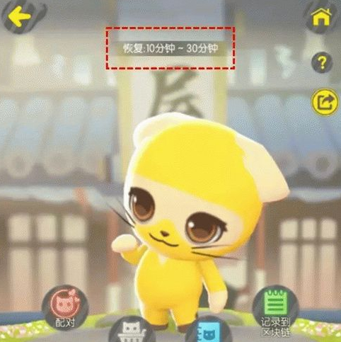 一起来捉妖专属猫怎么上架配对? 专属猫上架配