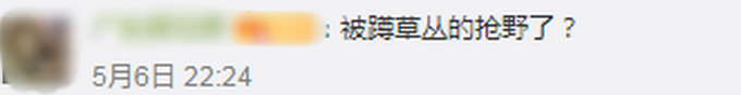 童年阴影了!带孩子放生老鼠被老鹰吃了 6岁儿子心态被亲爸搞崩了