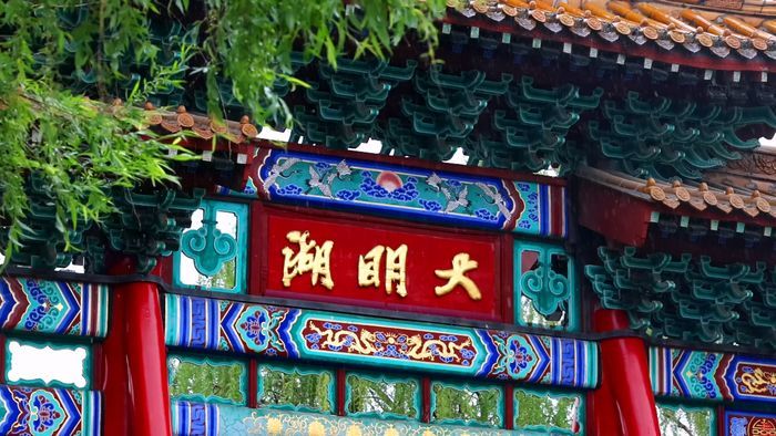 舜视频｜清明时节 杏花春雨 济南变成诗意之城