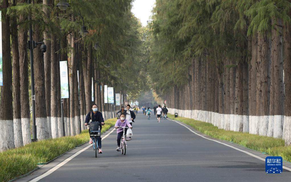 特稿：从湿地之美见证中国生态“密码”启迪世界