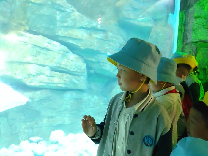 “行走的课堂”助力高新区劝学里小学的孩子们在梦想中徜徉